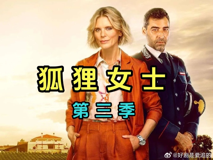 狐狸女士 第三季海报