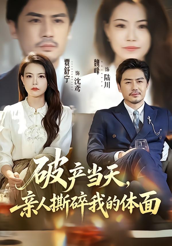 破产当天，亲人撕碎我的体面海报