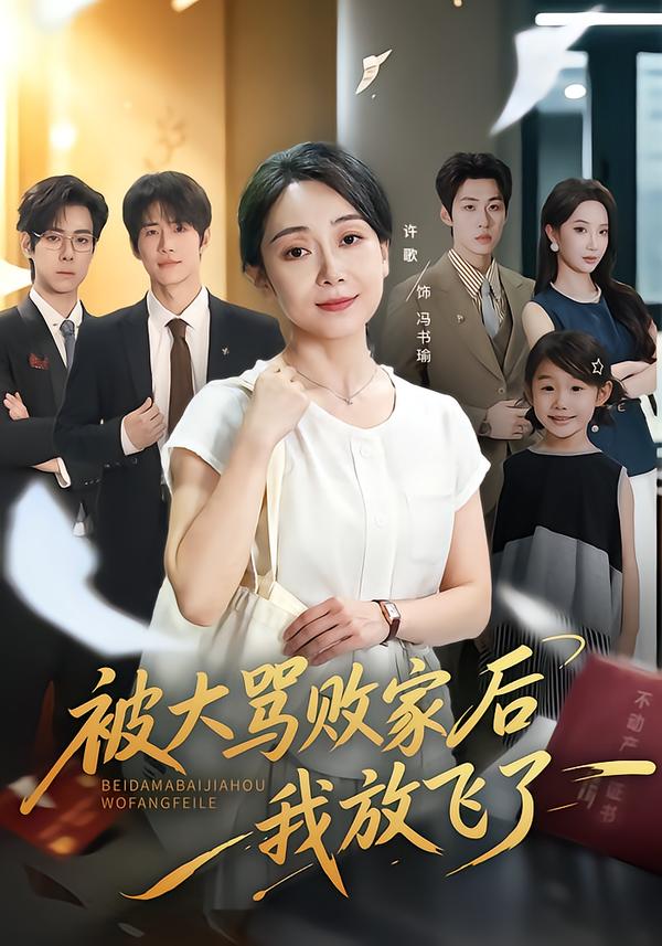 被大骂败家后我放飞了海报