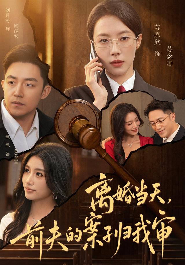 离婚当天,前夫的案子归我审海报