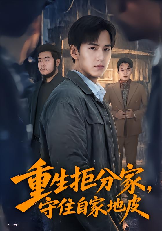 重生拒分家,守住自家地皮海报