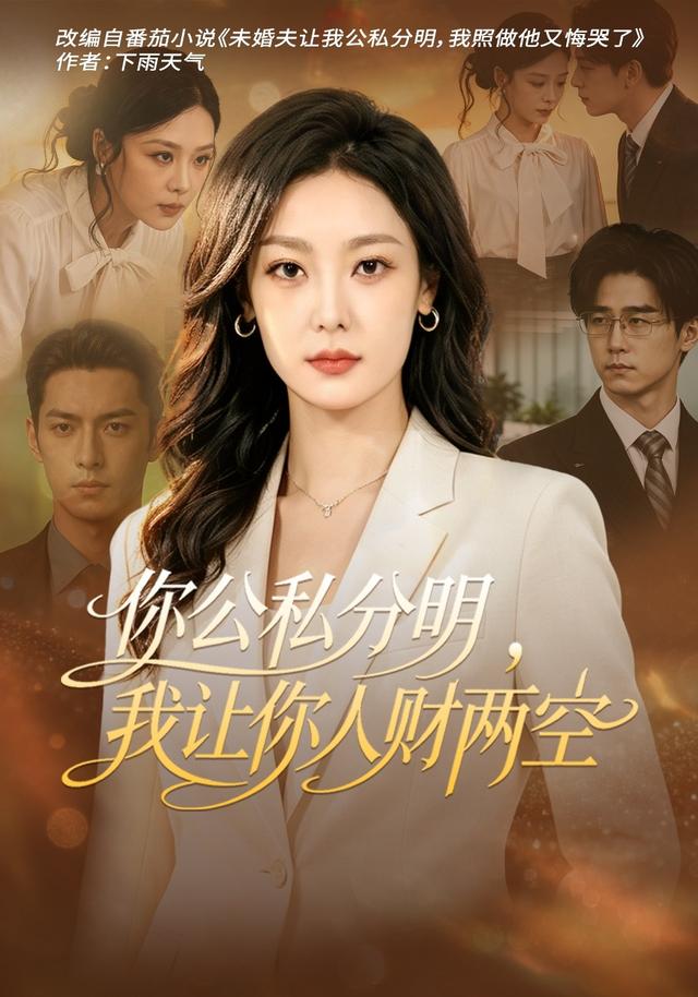 你公私分明,我让你人财两空海报