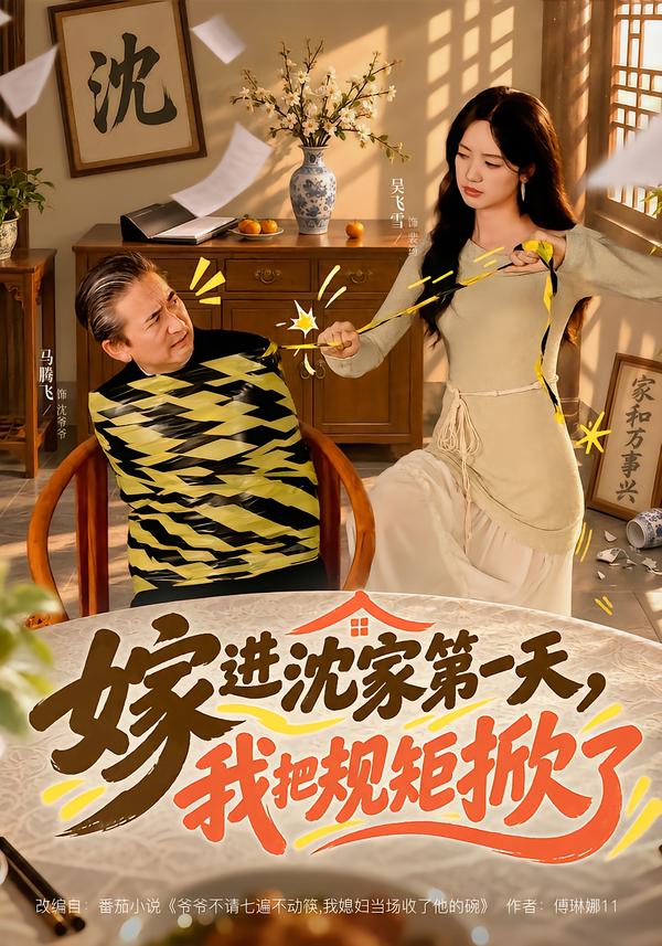 嫁进沈家第一天,我把规矩掀了海报