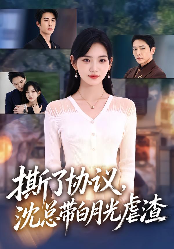 撕了协议,沈总带白月光虐渣海报
