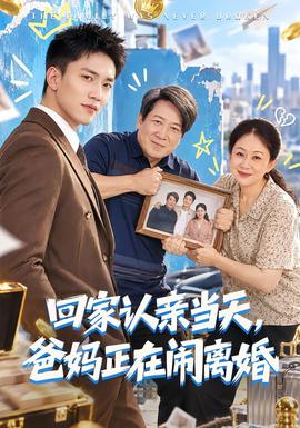 回家认亲当天，爸妈正在闹离婚海报