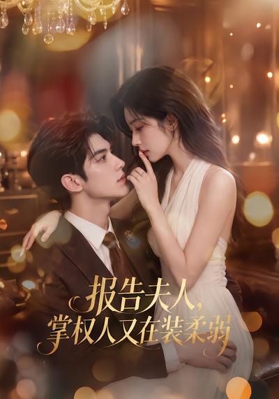 报告夫人,掌权人又在装柔弱海报