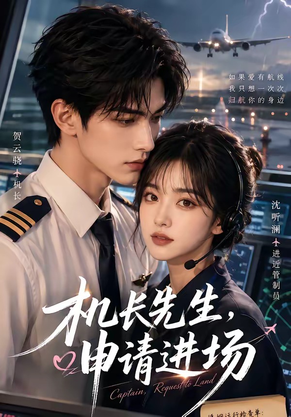 机长先生,申请进场海报