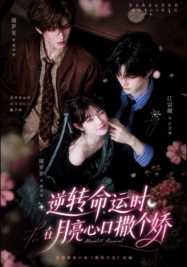 逆转命运时,在月亮心口撒个娇海报