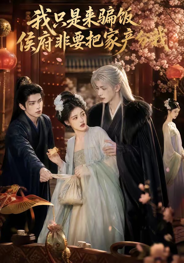 我只是来骗饭,侯府非要把家产分我海报