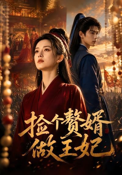 捡个赘婿做王妃海报