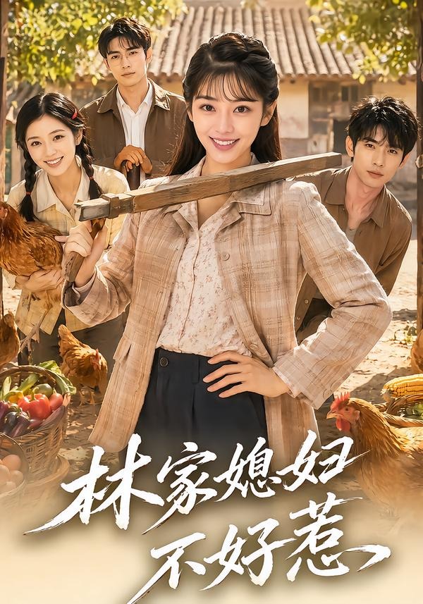 林家媳妇不好惹海报
