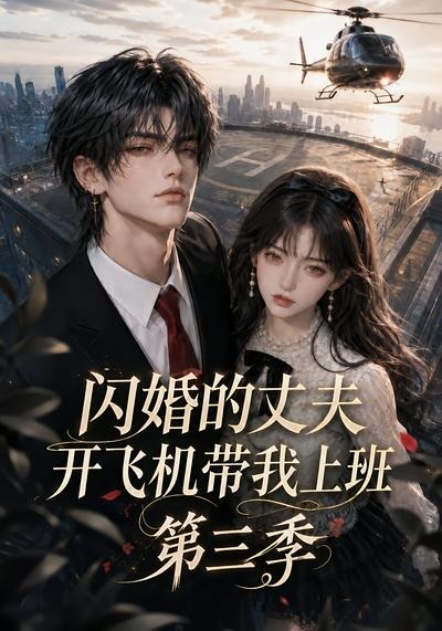 闪婚的丈夫开飞机带我上班第三季海报