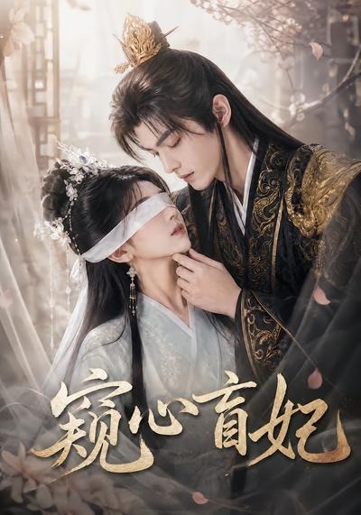 窥心盲妃海报