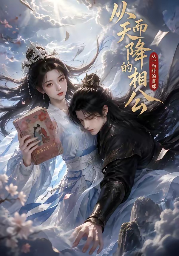 从天而降的相公，从一而终的直球海报