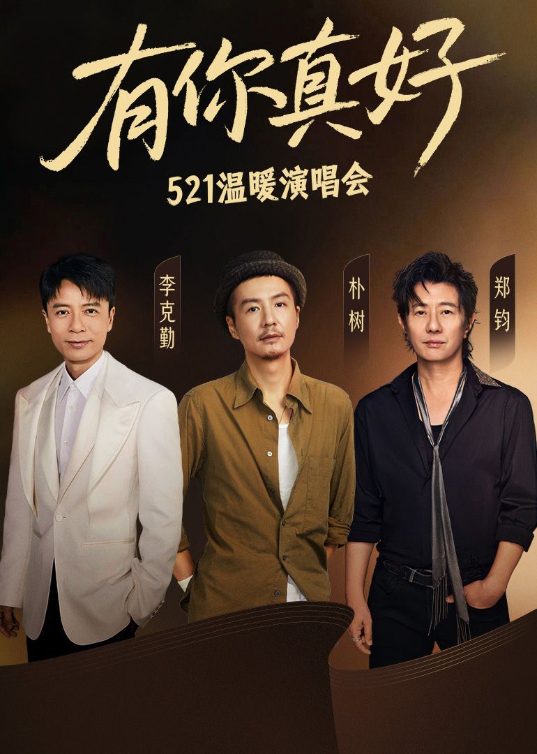 有你真好·温暖演唱会海报