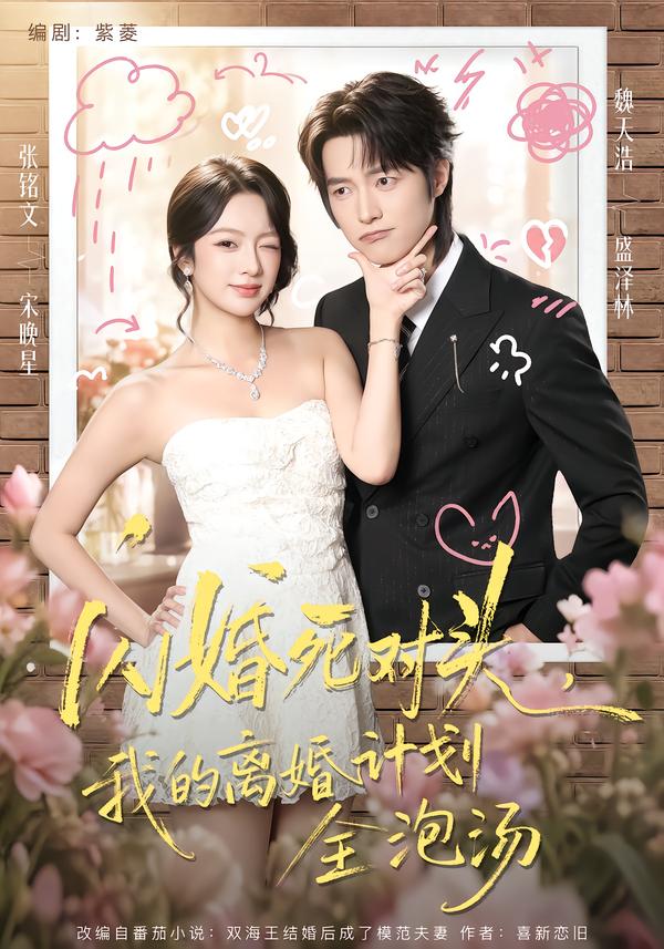 闪婚死对头,我的离婚计划全泡汤海报