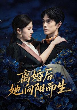 离婚后她向阳而生海报